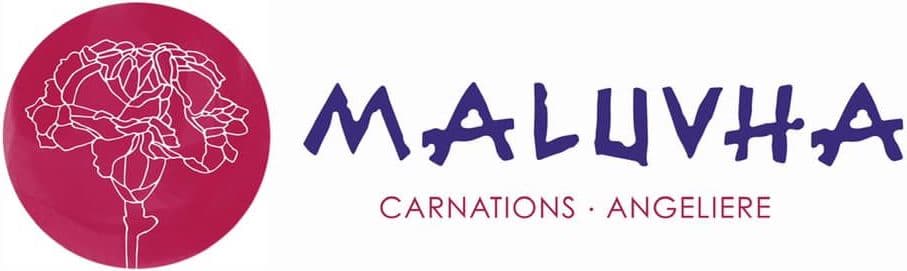 maluvha-logo-image